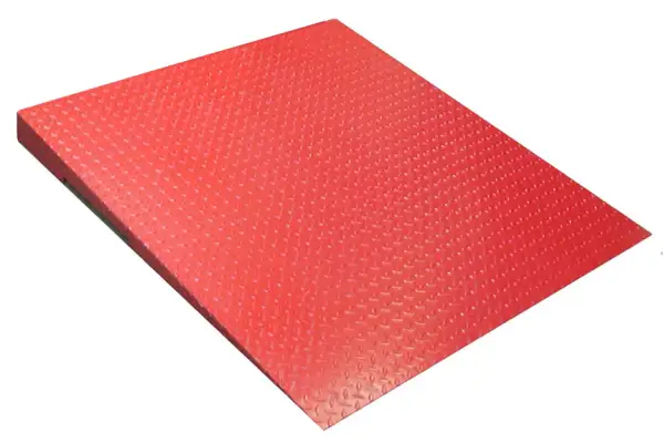 Click Here To Enlarge This Photo Of LOCOSC LPP SERIES HEAVY DUTY PLATFORM SCALE WITH TALLY ROLL PRINTER