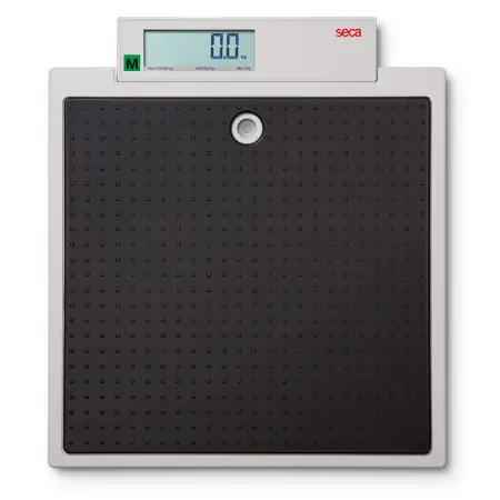 Click Here To Enlarge This Photo Of SECA 875 FLAT STYLE PERSONAL SCALE