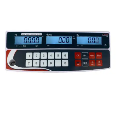 Click Here To Enlarge This Photo Of CSG XTA-P PRICE COMPUTING RETAIL SCALE