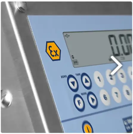Click Here To Enlarge This Photo Of DINI-ARGEO 3GD ATEX BENCH SCALES