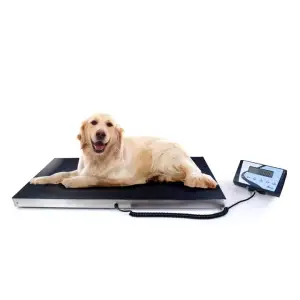 BAXTRAN AIS VETERINARY SCALE